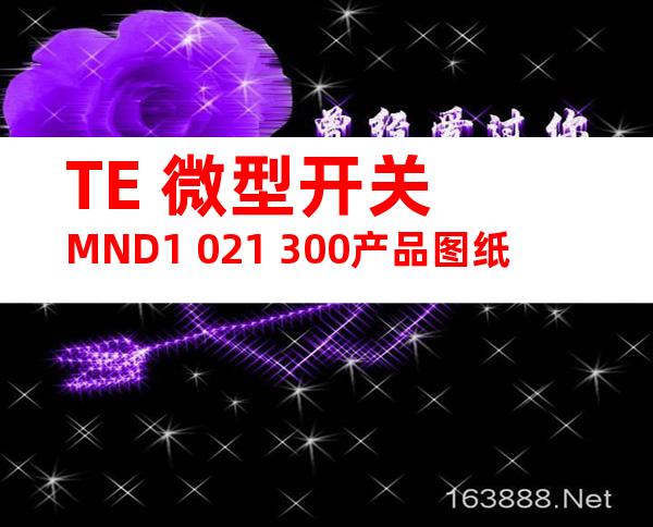 TE 微型开关 MND1 021 300产品图纸